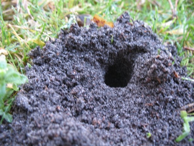 2007 02 Sortie traces 37